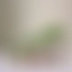 Investir en Afrique: Débloquez un potentiel d'expansion exponentiel