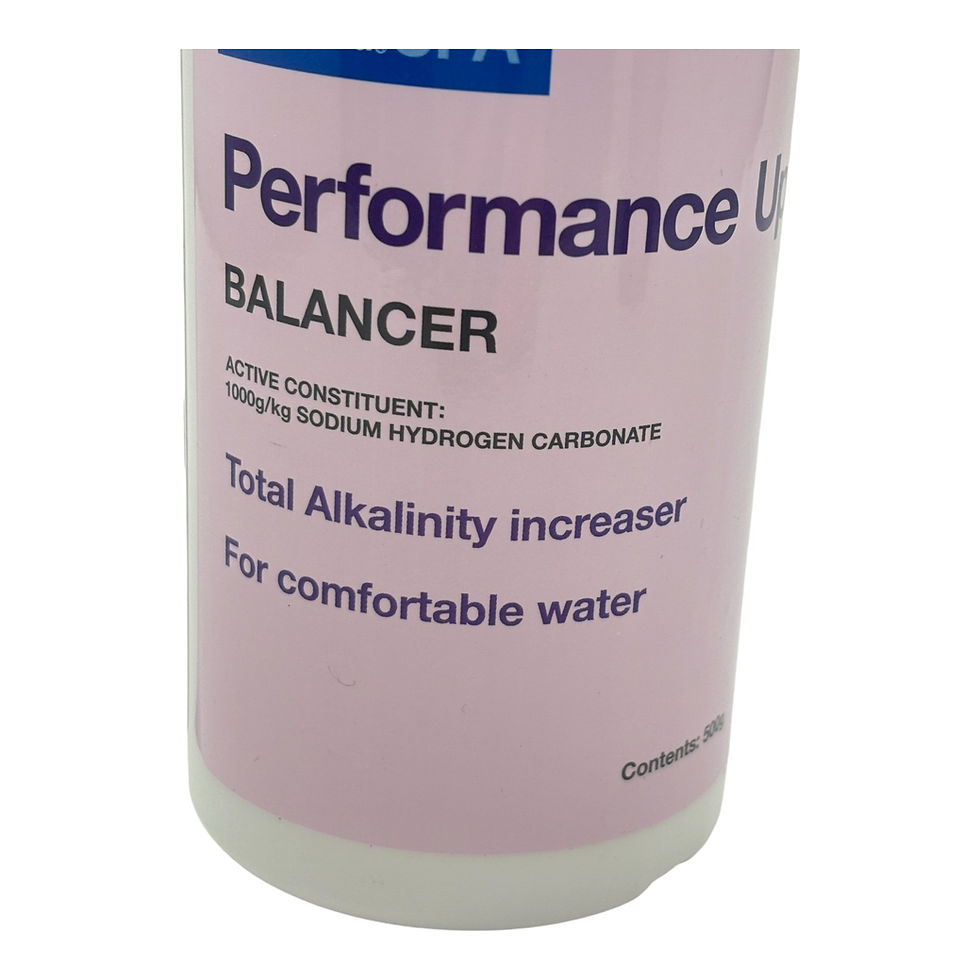 Thumbnail: BioGuard Spa Performance Up Total Alkalinity Increaser - 500g