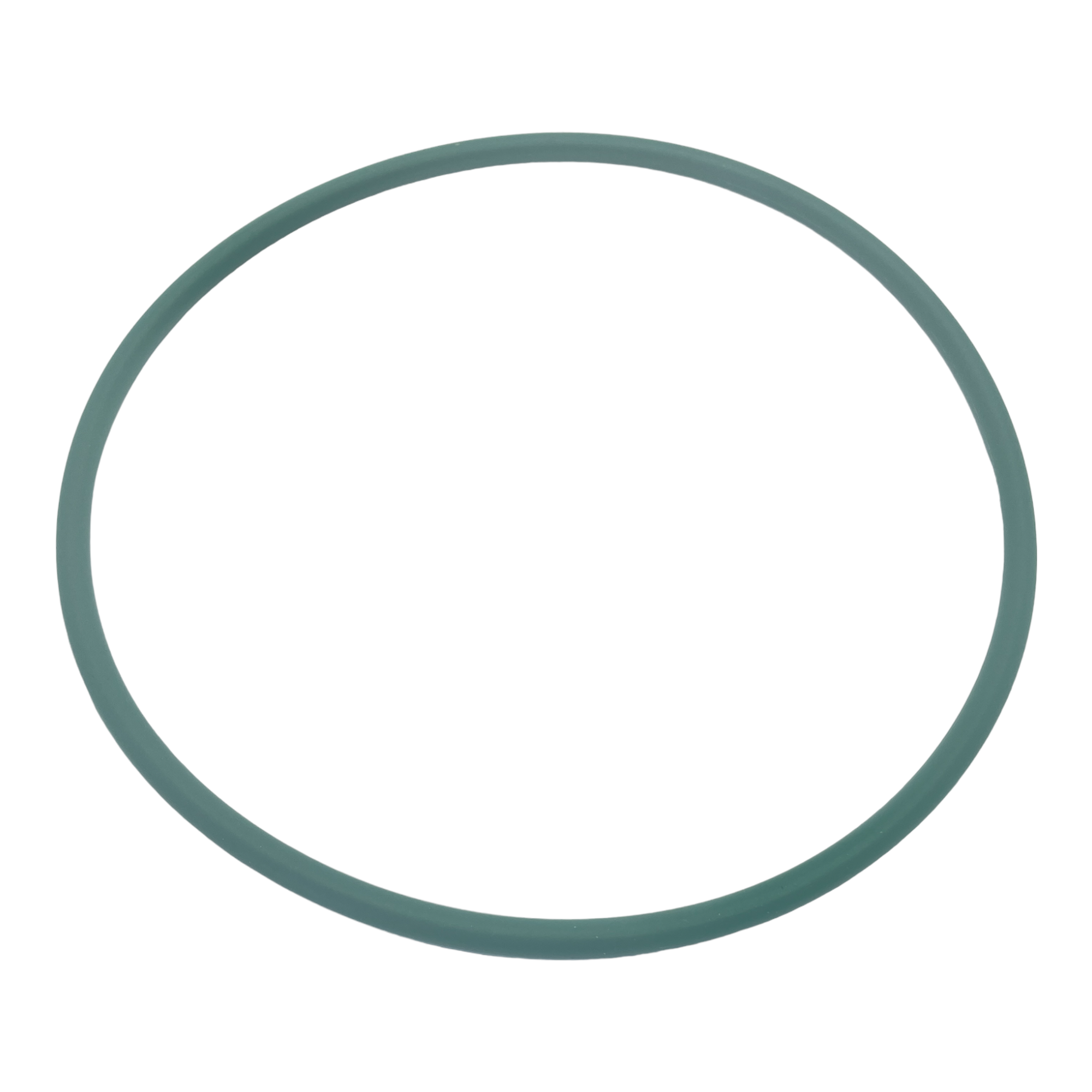 O'Ring - Filter Astral ECA Media Lid - Part 7201750057