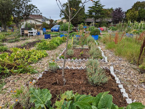 Spring into Safety: First Aid for Gardeners