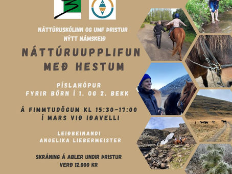 Náttúruupplifun með hestum