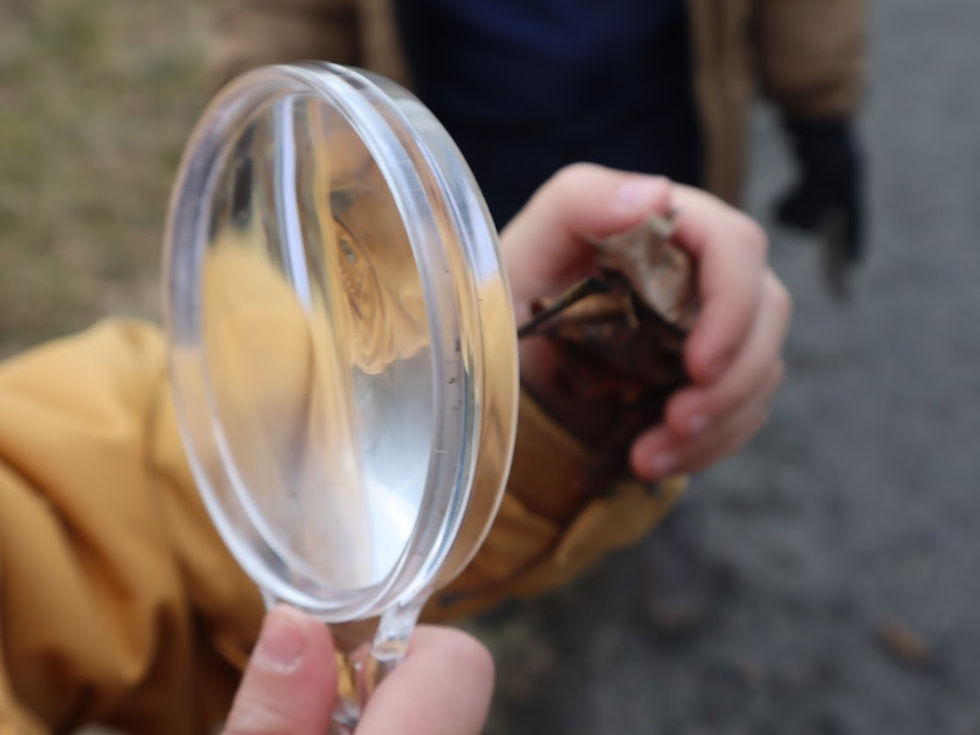 Skólaheimsóknir 3. bekkinga