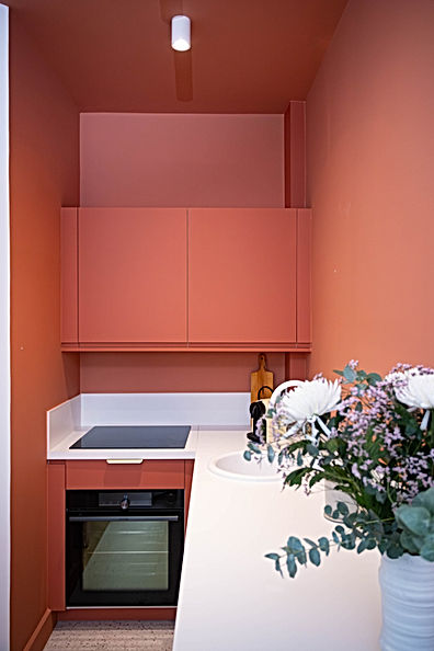 Cuisine terracotta et plan de travail blanc. Un bloc couleur uni