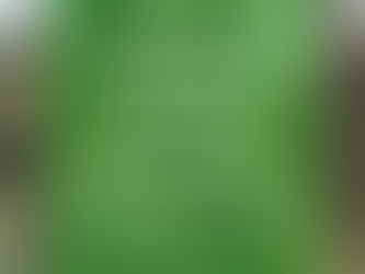 Gluten Free Matcha Brownies