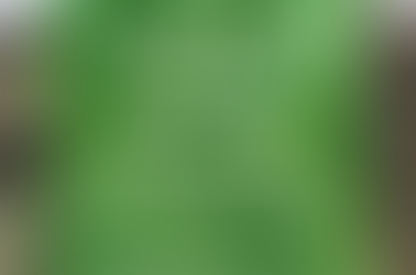 Gluten Free Matcha Brownies