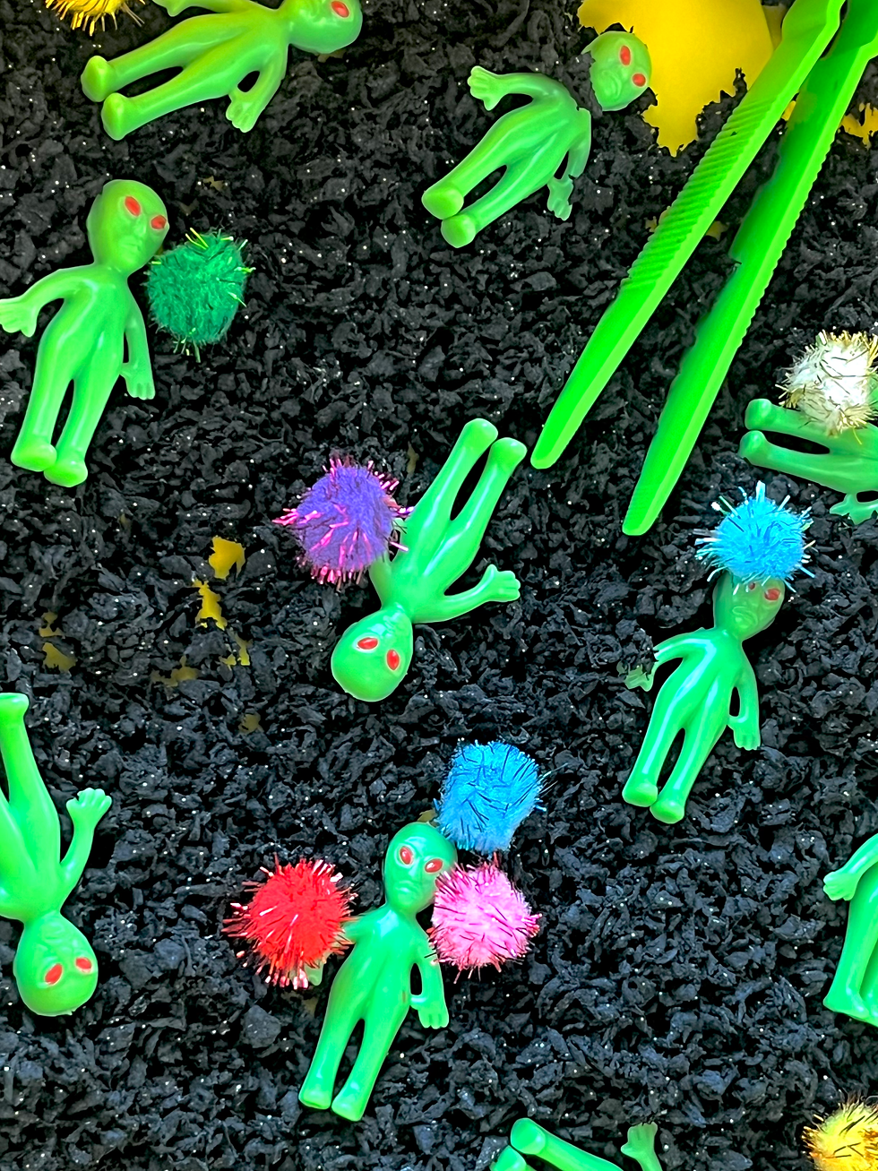 Thumbnail: 4 LARGE CUSTOMIZED BIRTHDAY SENSORY BINS