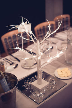 sawyer-lloyd web gallery-207