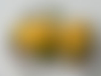 Simple Avocado Toast with Cottage Cheese & Eggs