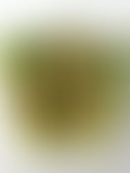 Edamame & Brown Rice Veggie Lettuce Wraps 