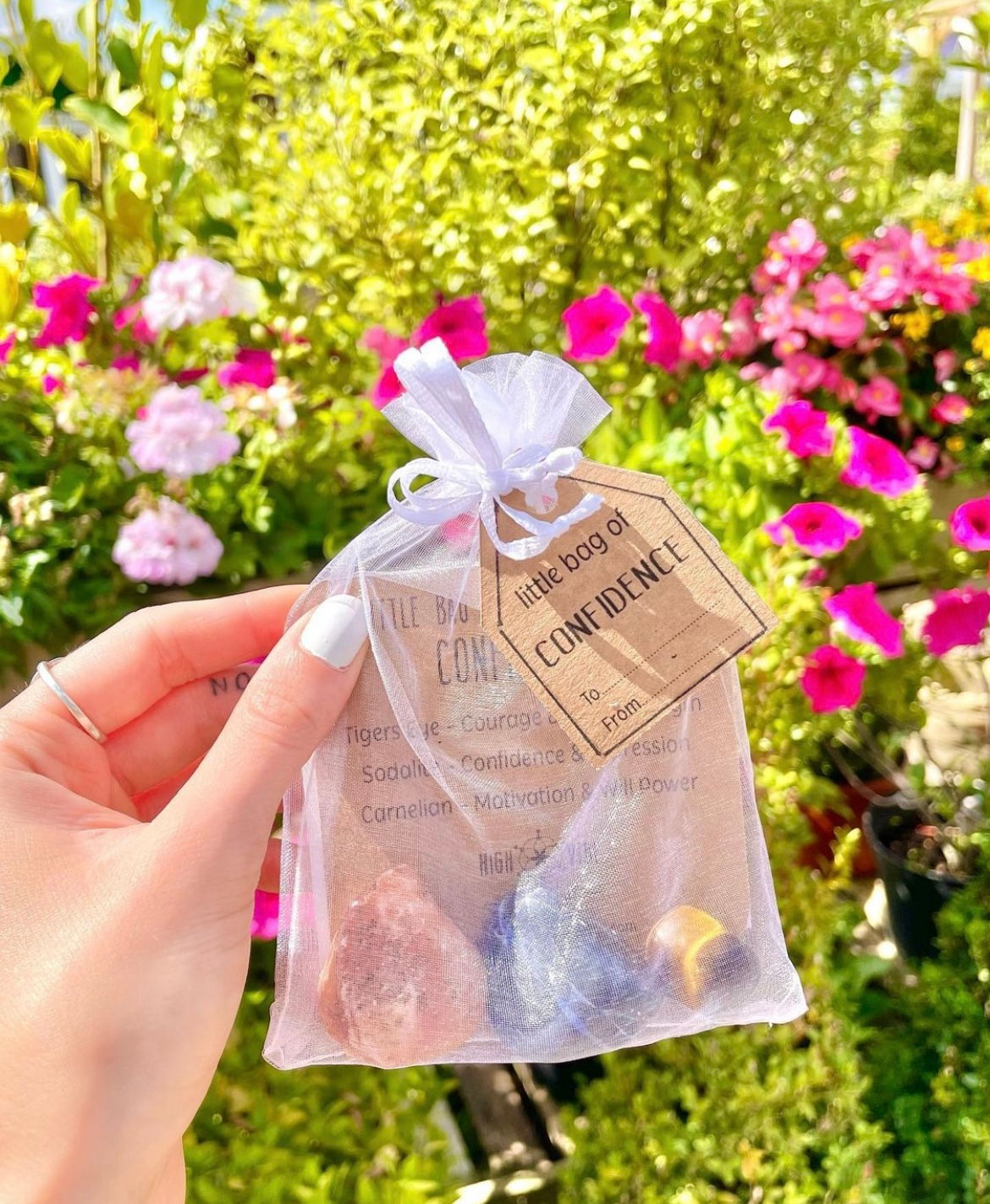 Little Bag of Confidence