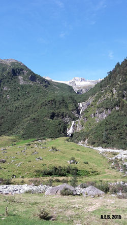 Kainzenhüttenalm