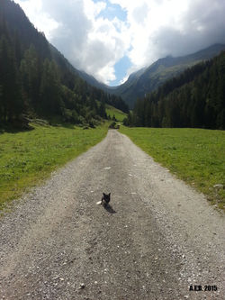Schwarzachtal