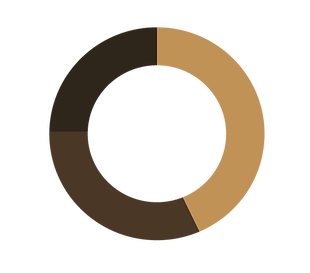 grafica.png