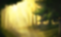 Screen Shot 2020-05-18 at 7.56.10 PM.png