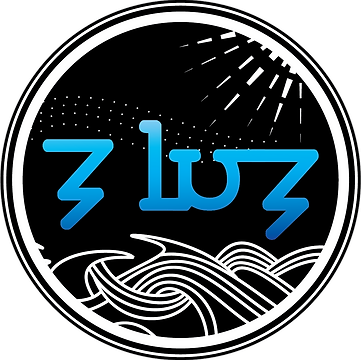 Zluz logo