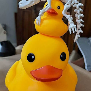 Big duck, squishes by little duck with a 3D printed skeleton lizard.