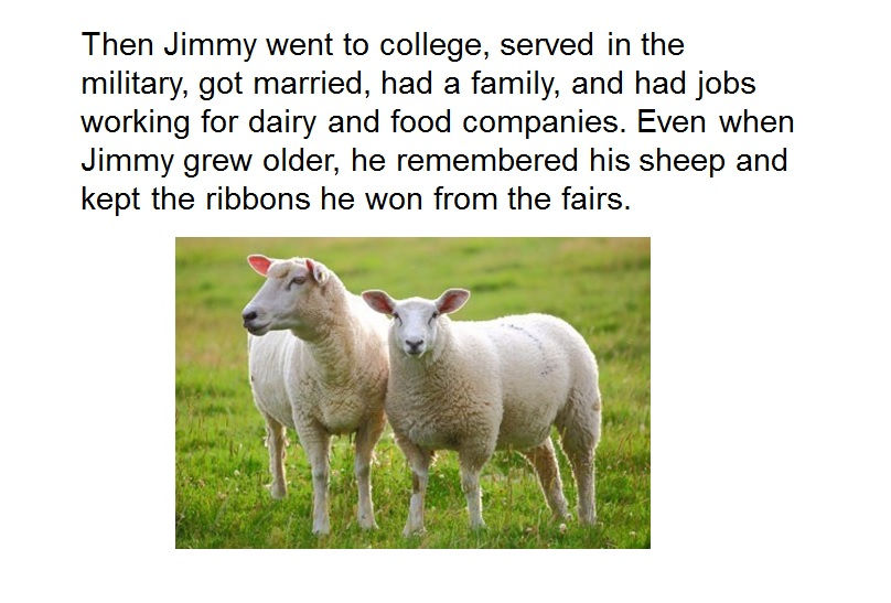 Jsheep6