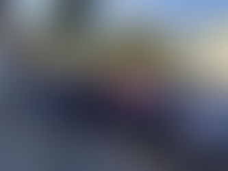 II Passeata Ecológica