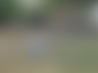 Dia de recreação ao ar livre - 3º Ano