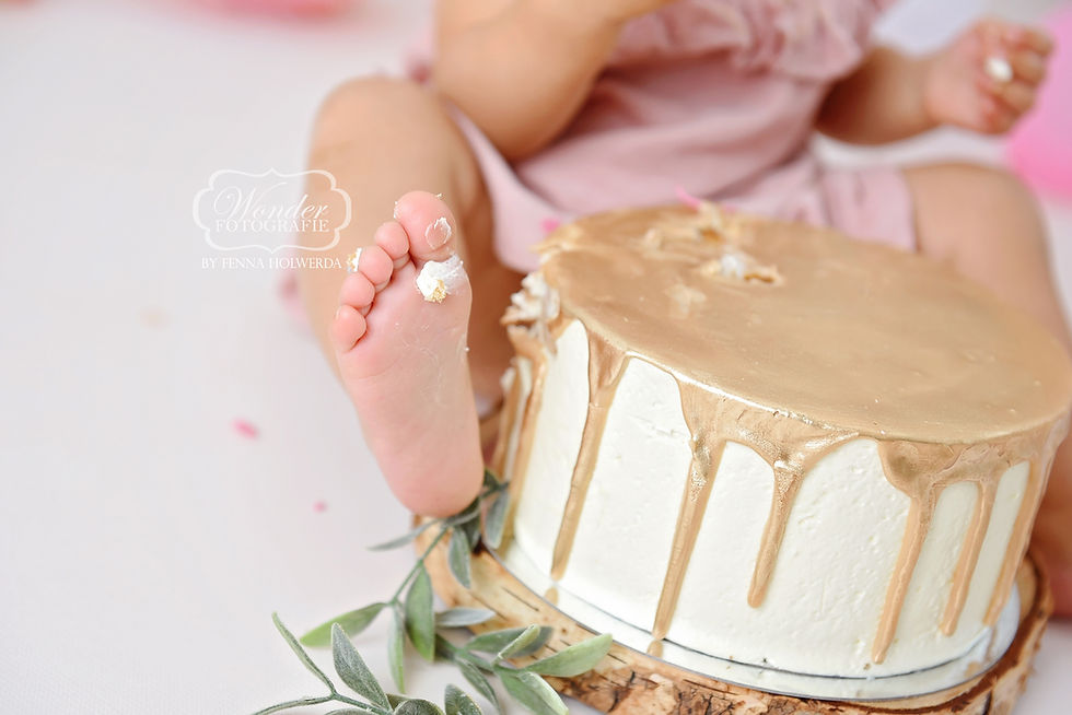 cake smash verjaardag fotoshoot photoshoot meisje girl naturel neutraal