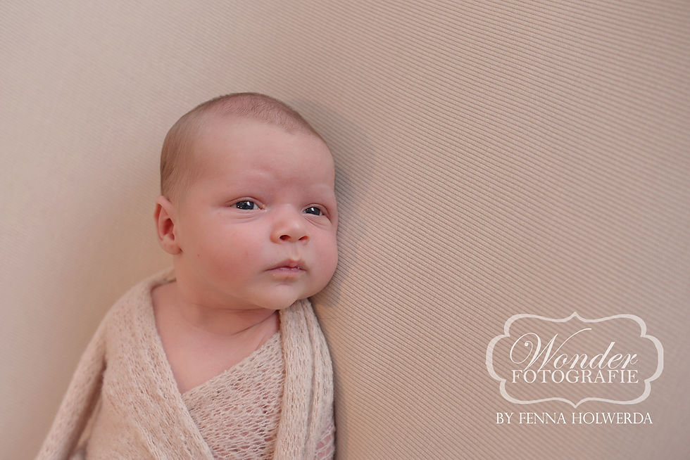 Fine Art Newborn Fotoshoot Puur Naturel Amersfoort