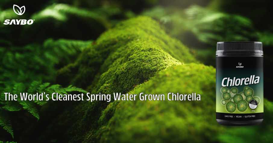 saybo_clorella_3_1200px_630px.jpg