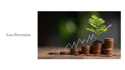 cash 4.1.001
