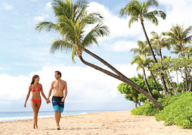 Vacaciones y Hoteles todo incluido baratos en Punta Cana | Republic Dominicana | contodoincluid.com
