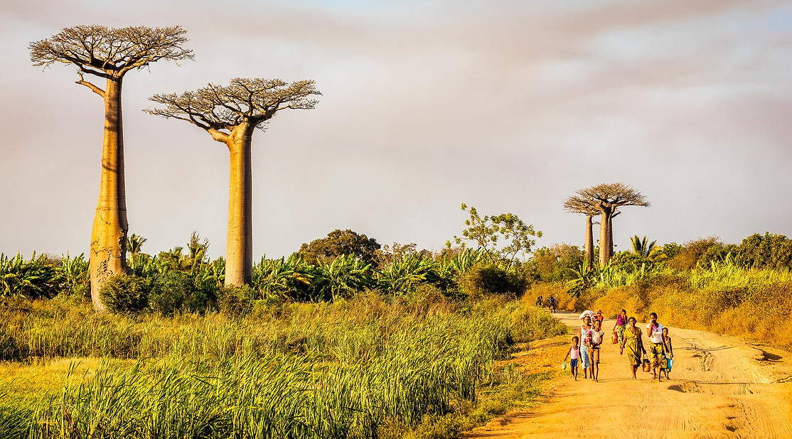 05travel-madagascar-27-superJumbo.jpg
