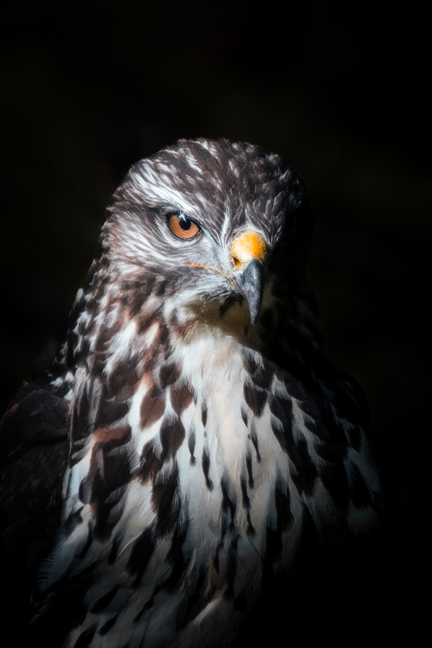 ...frozen berries for breakfast.