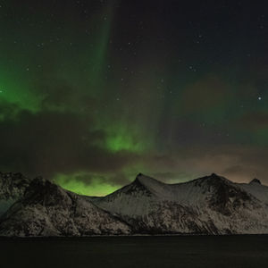 Senja, Nordnorwegen