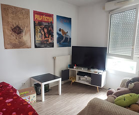 Bouguenais I Appartement T1 Proche Centre-Ville I Locataire en place