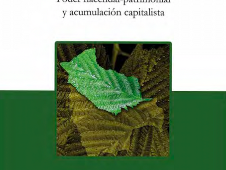 Geopolítica de la Amazonia PDF