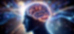 peterbananas_httpss-mj-runOF08c6zZI9Q_Ultra-realistic_side_pr_3733a06e-a88f-4286-bf5c-e056