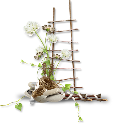 pngwing.com (50).png