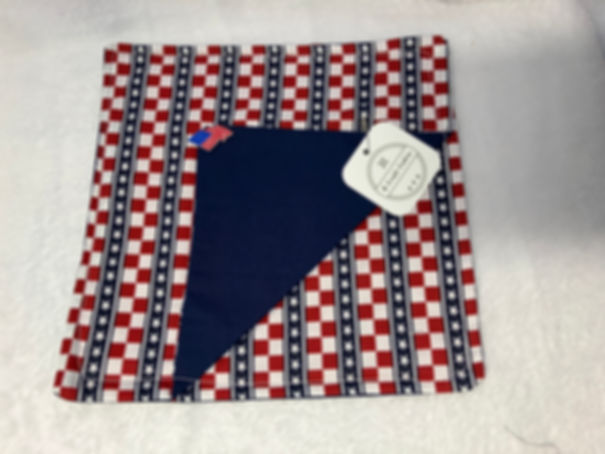 Napkin Holder  Red white and blue themed