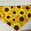 Thumbnail: Medium Reversible Dog Scarf 7