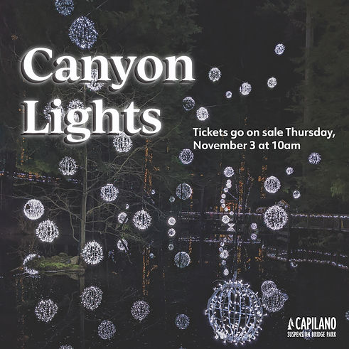 Photo edited of Christmas Lights show at Capilano Bridge for social media advertisement. Captured and Ad design by Simone. Service offered: Advertising and Content Creation.