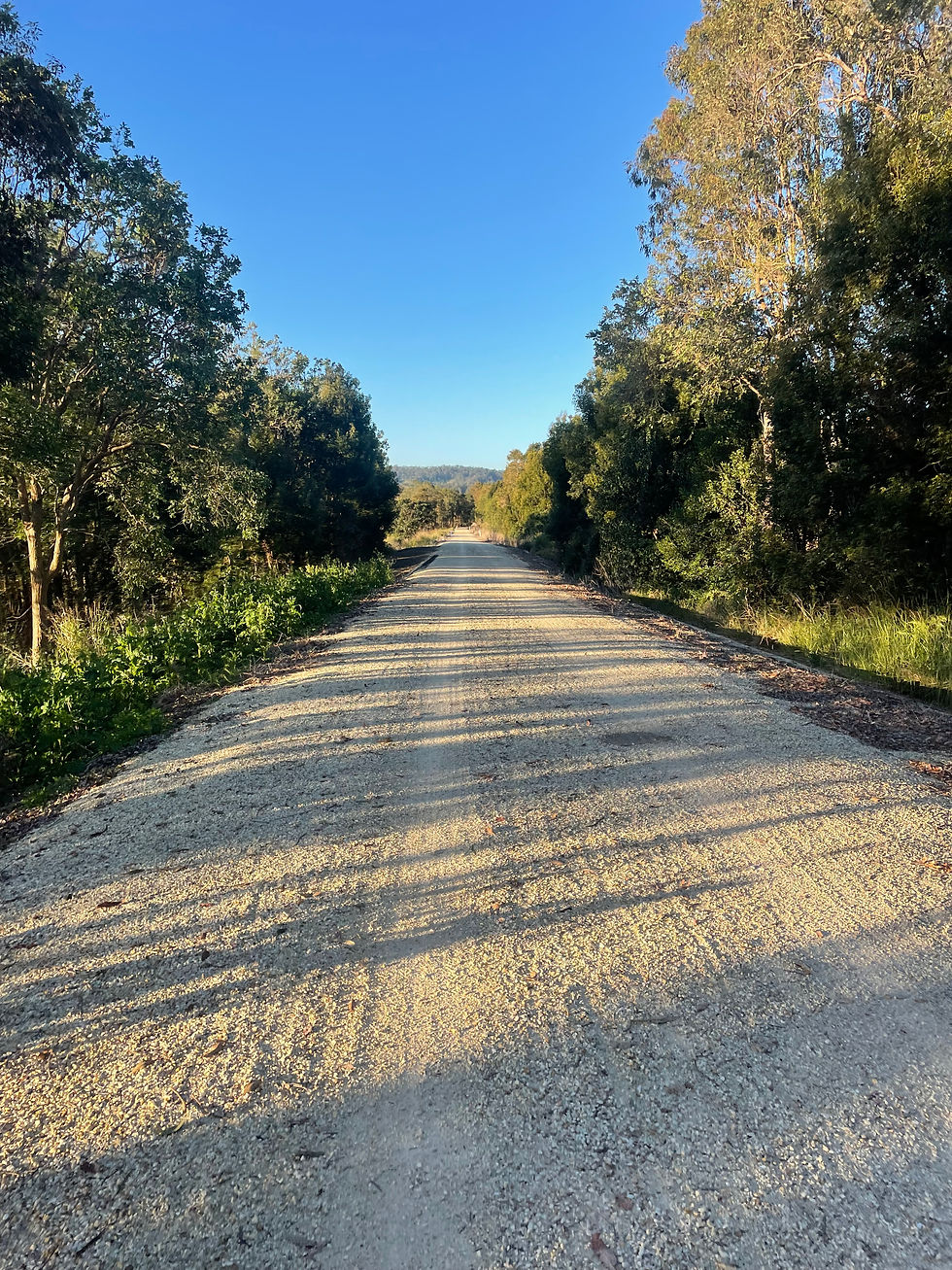 Wide angle view of a beautiful cycling trail surrounded by lush greenery