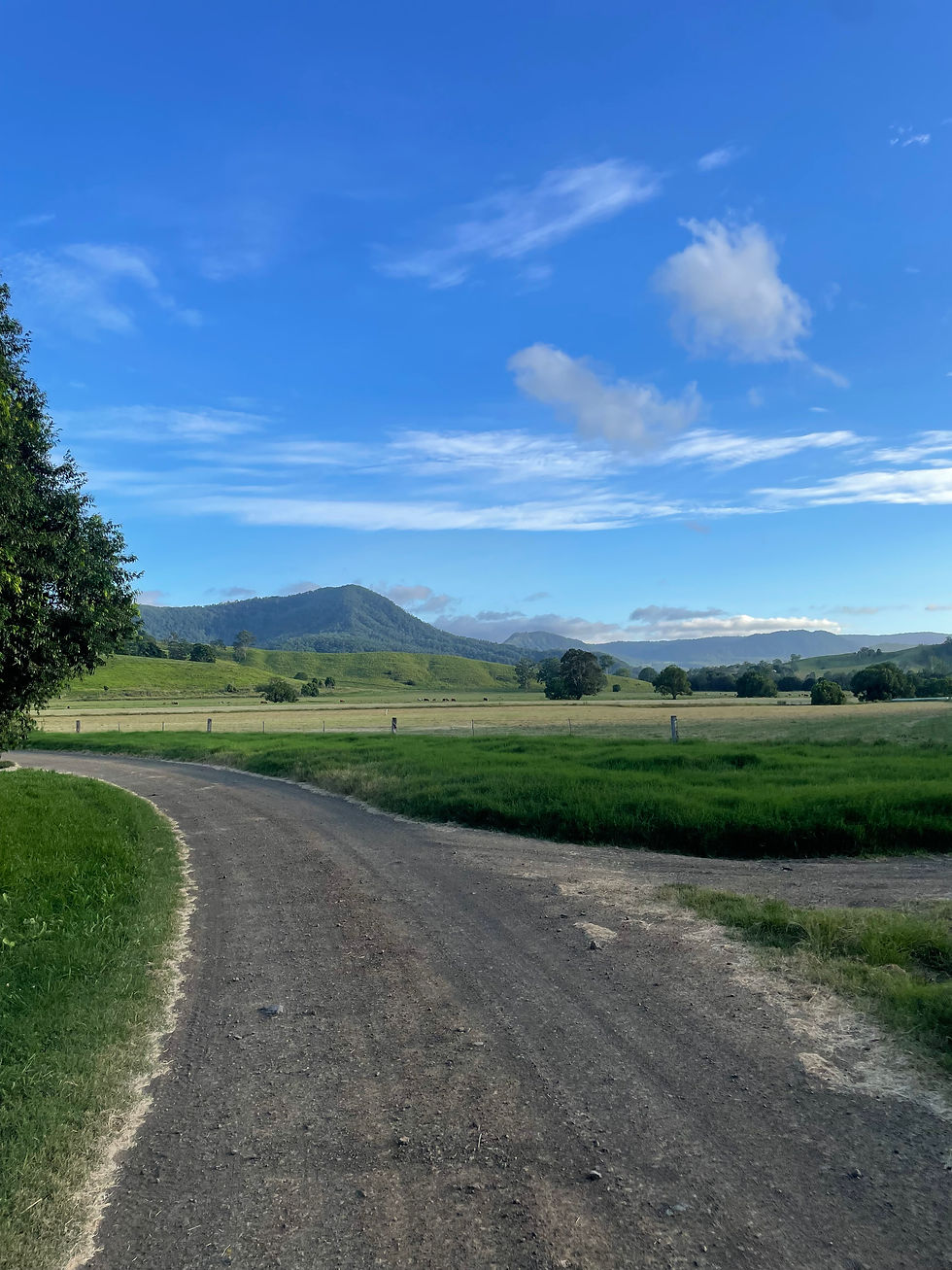 Border Ranges