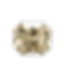 10.png