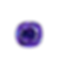 6.png