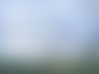 ANG MO KIO AND BISHAN PROPERTY UPDATES