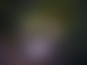 romantic dinner in ubud