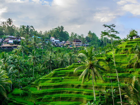 17 Best Relaxing Things To Do in Ubud 2025