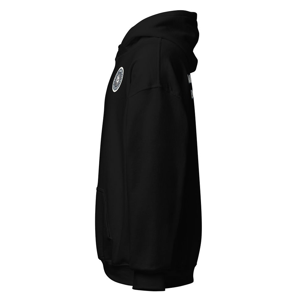 Thumbnail: Dark Imagination Entertainment Unisex Hoodie