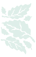 Martvili_mint_edited.png