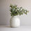 Thumbnail: Doris Vase