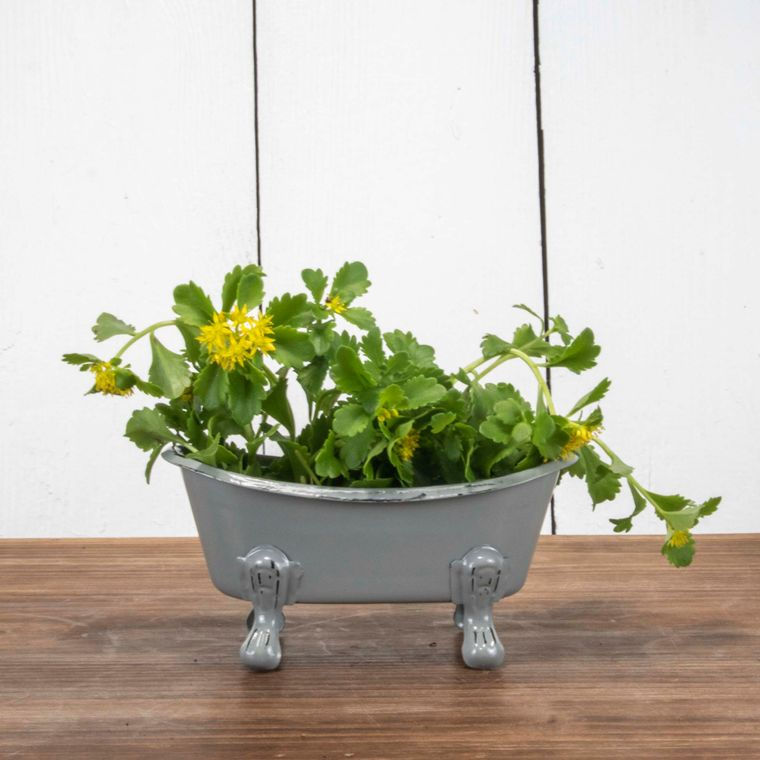 Foreside Home & Garden | Mini Gray Bathtub Soap Dish