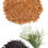 Thumbnail: doTERRA | HD Clear® Oil